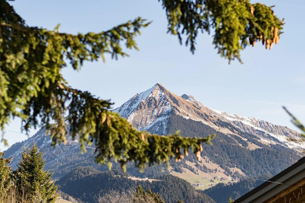 Apartamento La petite Silene Leysin Exterior foto